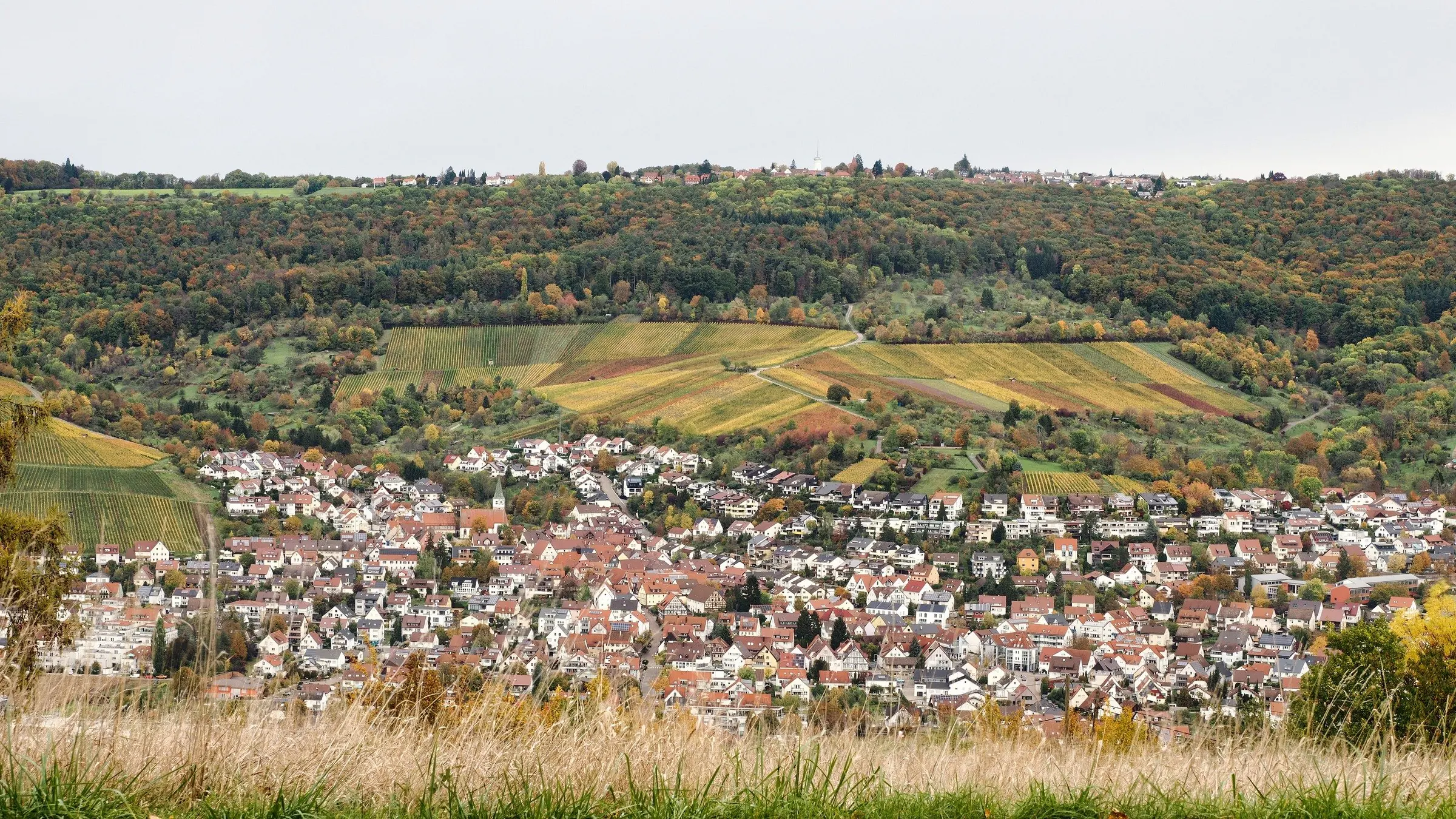 Remshalden Grunbach mit Weinbergen, vom Schönbühl gesehen