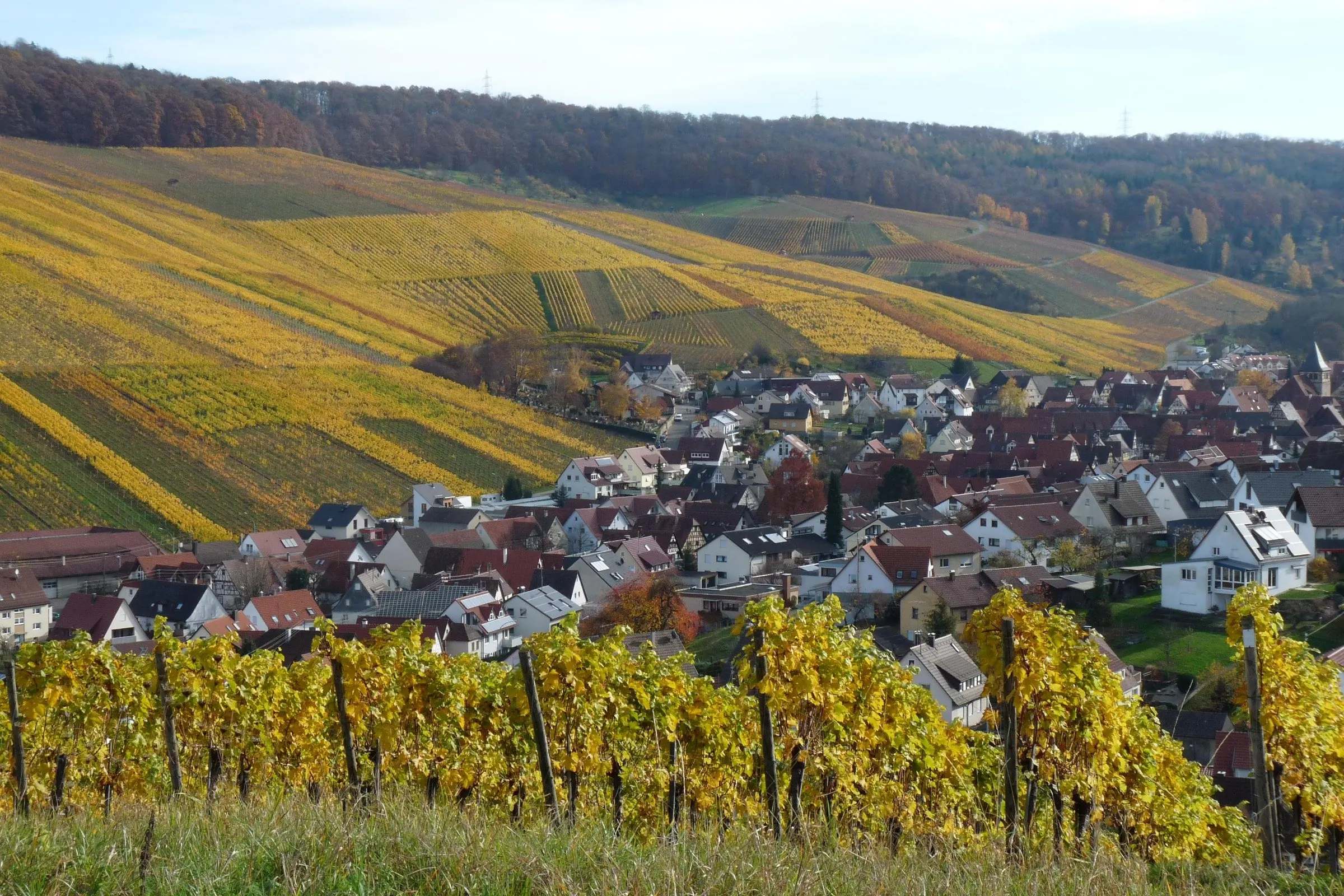Weinstadt Strümpfelbach zwischen herbstlichen Weinbergen